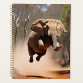 Les éléphants peuvent sauter, (Devant)