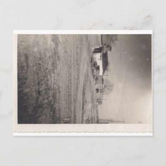 Les entreprises sur Pine Street Carte postale (Devant)