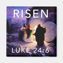 Les Femmes Au Magnet Du Réfrigérateur Tombeau Vide