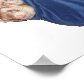 Les Ferrets Dans Un Sac À Dormir Poster (Coin)