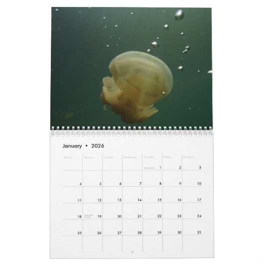 Les Fidji - calendrier mural du paradis 2018 d'un (Jan 2026)