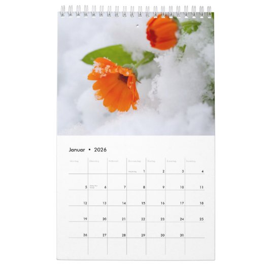 Les fleurs comme calendrier (Jan 2026)