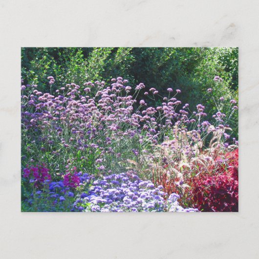 Les fleurs dans la carte postale du jardin anglais (Devant)