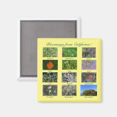 Les fleurs de Californie ! aimant (Recto/Verso)