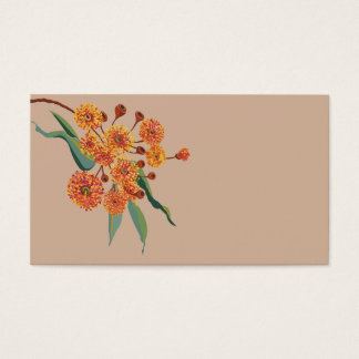 Les fleurs de gommiers australiens