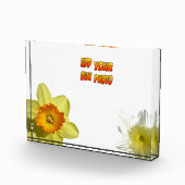 Les Fleurs De La Daffodile Poussière. Bloc photo (Droite)