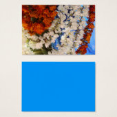 Les fleurs de l'Inde (Devant & derrière)