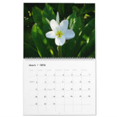 Les fleurs du calendrier zoologique de San Diego (Mar 2026)