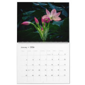 Les fleurs du calendrier zoologique de San Diego (Jan 2026)