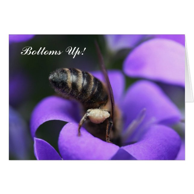 Les fonds ! Carte (Devant horizontal)