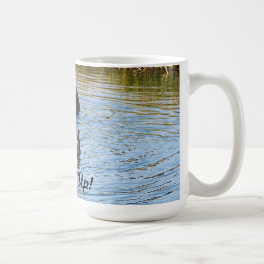 Les fonds lèvent la tasse (Droite)