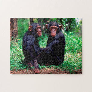 Les frères et soeurs du Chimpanzé, puzzle de Jig