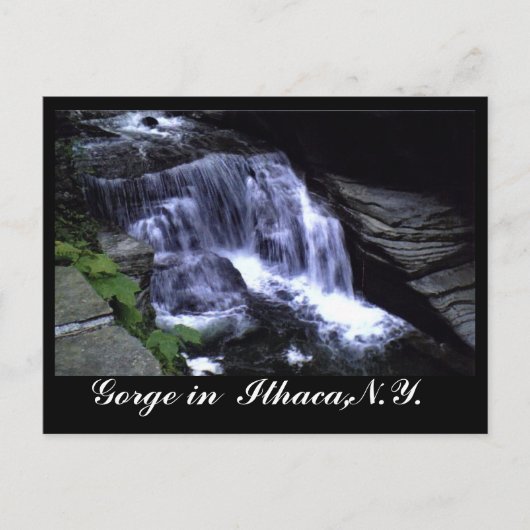 LES GORGES D'ITHACA, N.Y. carte postale (Devant)