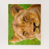 Les Grands Félins Lions. Puzzle (Vertical)