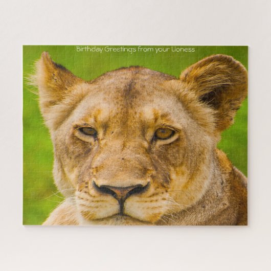 Les Grands Félins Lions. Puzzle (Horizontal)