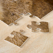 Les Grands Félins Lions. Puzzle (Côté)