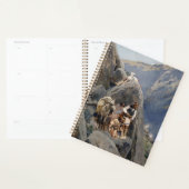 Les guerriers d'Apache : une embuscade sur la cava (Devant avec enveloppe)