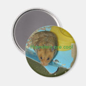 Les hamsters sont un aimant cool (Recto/Verso)