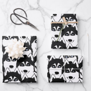 Les Huskies enveloppent les feuilles de papier