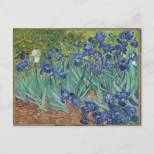 Les Iris Irises Vincent Van Gogh Briefkaart