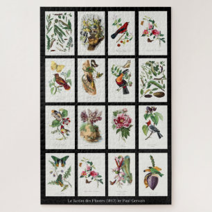 Les Jardins des Plantes Illustrations 002 Legpuzzel