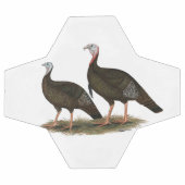 Les Jeunes Filles de Turkeys (Plat)