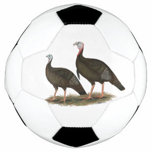 Les Jeunes Filles de Turkeys