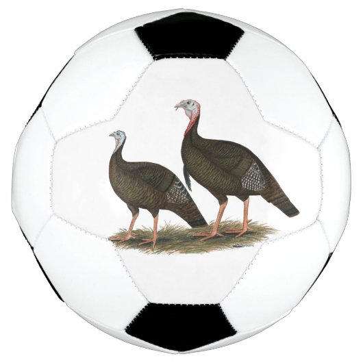 Les Jeunes Filles de Turkeys (Devant)