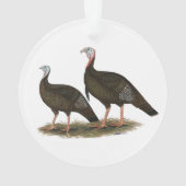 Les Jeunes Filles de Turkeys (dos)