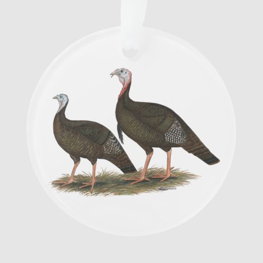 Les Jeunes Filles de Turkeys (devant)