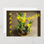 Les jonquilles Joyeux Pâques. Carte postale texte (Devant / Derrière)