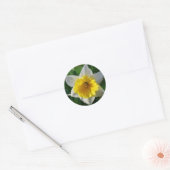 Les jonquilles symbolisent le renouveau - Sticker (Enveloppe)