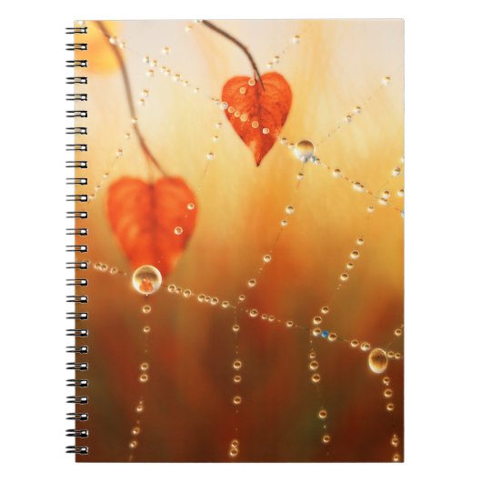 Les joyaux d'un Carnet d'automne du matin (Devant)