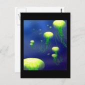 Les KY gèlent la carte postale (Devant / Derrière)