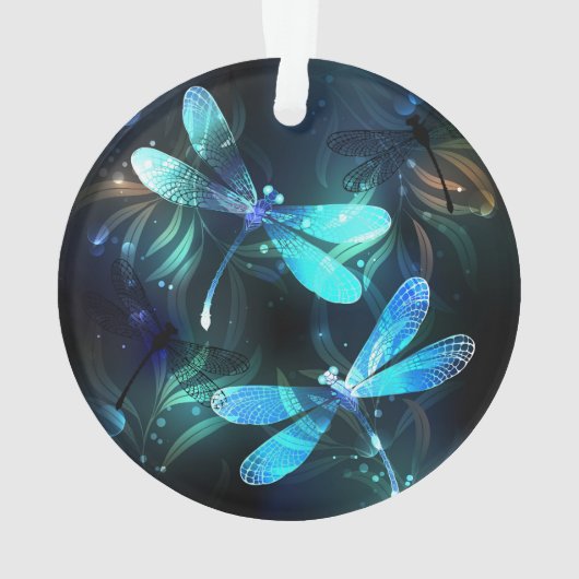 Les libellules du lac (dos)