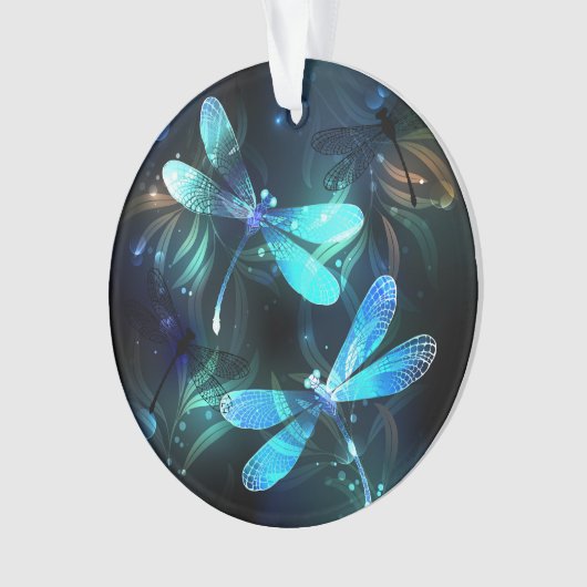 Les libellules du lac (devant)