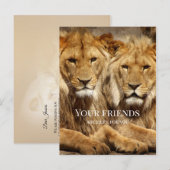 Les Lions De L'Amitié Se Bien Bientôt Carte Postal (Devant / Derrière)