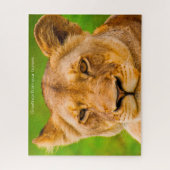 Les Lions Gros Chats. Jigsaw Puzzle (Vertical)