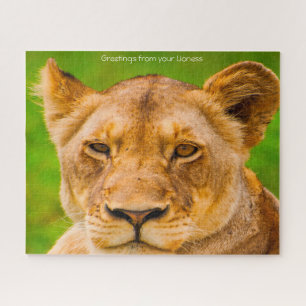 Les Lions Gros Chats. Jigsaw Puzzle