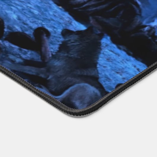 LES LOUPS AU CAMP (Coin)