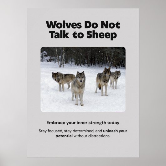 Les loups ne parlent pas aux moutons Poster Motiva (Devant)