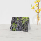 Les lustres de la nature de carte de note de (Fleur jaune)