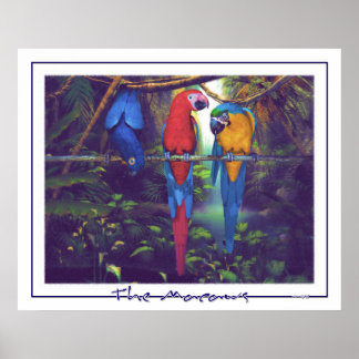 Les Macaws - Poster