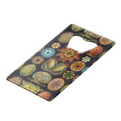 Les merveilles océaniques d'Ernst Haeckel (Devant Angle)