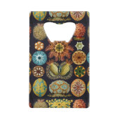 Les merveilles océaniques d'Ernst Haeckel (Dos)