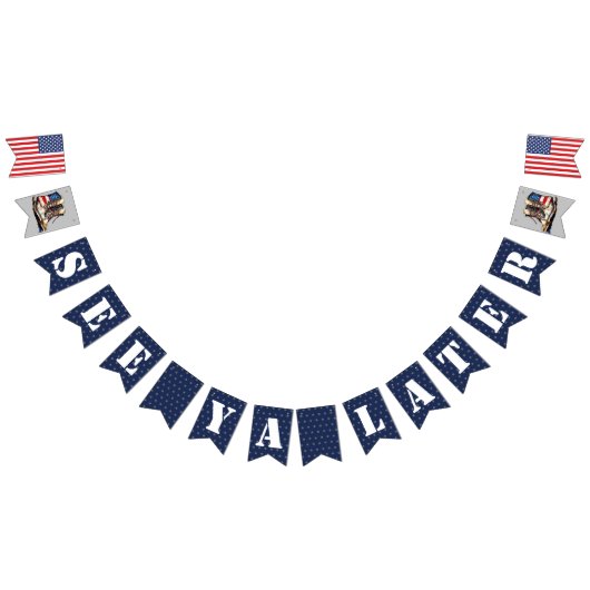 Les Militaires S'Éloignent Bannière Je Vois Ya Plu (Tout)