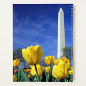 Les monuments | Washington Monument au printemps (Dos)