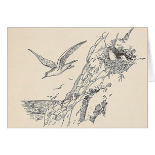 Les mouettes