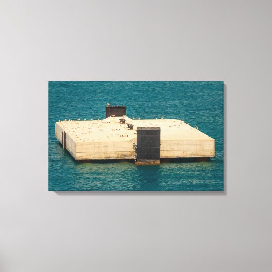 les mouettes sur toile étirée (Recto)