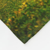 Les moulins à vent de la couverture polaire occide (Coin)